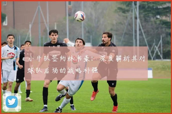 小牛队签约林书豪：深度解析其对球队后场的战略补强